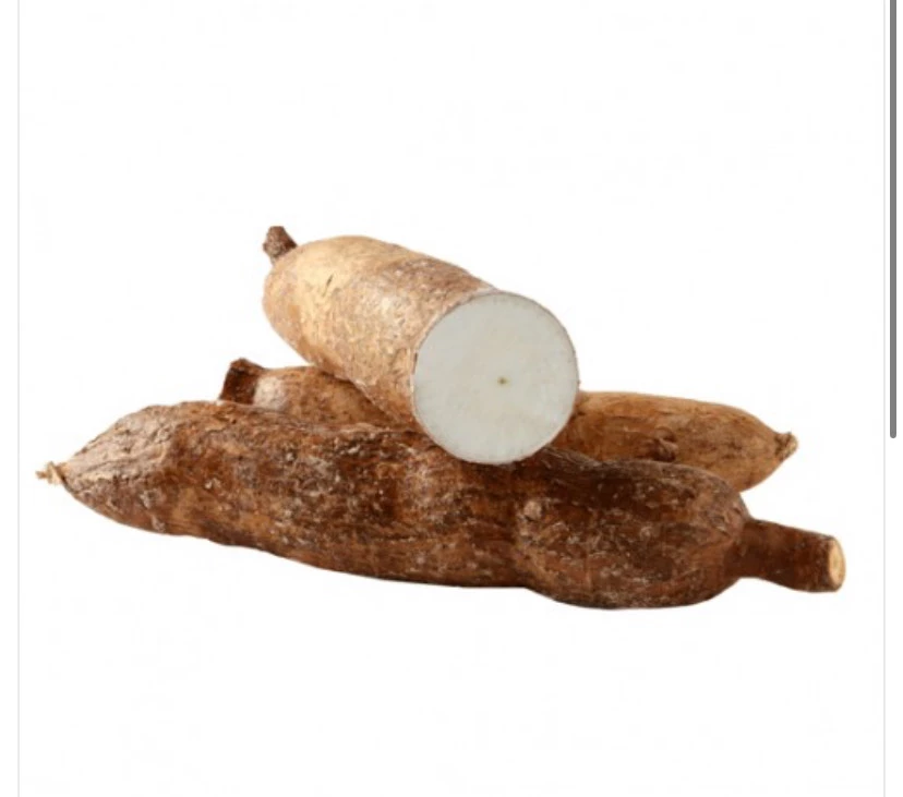 Manioc