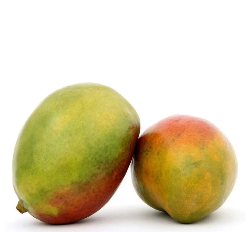 Mangue 500g