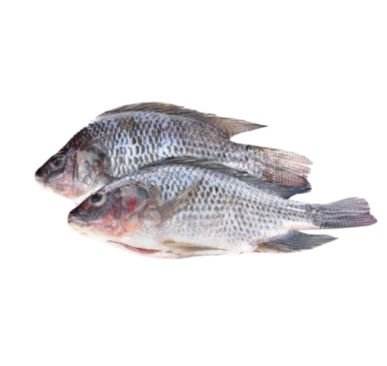 Tilapi gris 400g