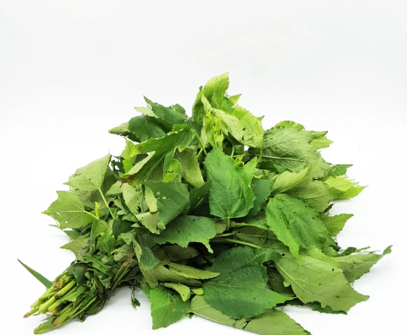 Oseilles /ngai ngai / feuille de bissap 500g